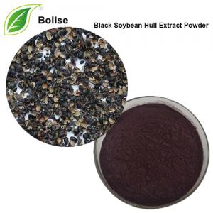 Black Soybean Hull Extract Powder Black Soybean Hull Extract Powder