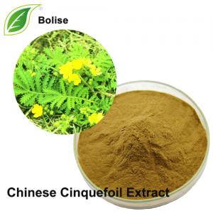 Chinese Cinquefoil Extract Chinese Cinquefoil Extract