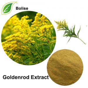 Goldenrod Extract Goldenrod Extract