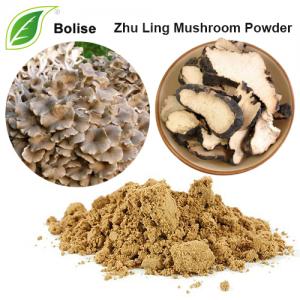Zhu Ling Mushroom Powder(Polyporus Umbellatus Extract) Zhu Ling Mushroom Powder(Polyporus Umbellatus Extract)