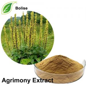 Agrimony Extract Agrimony Extract