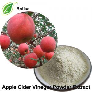Apple Cider Vinegar Powder Extract Apple Cider Vinegar Powder Extract