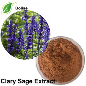 Clary Sage Extract Clary Sage Extract