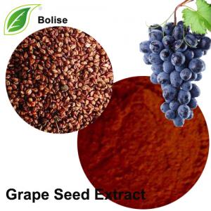 Grape Seed Extract Grape Seed Extract