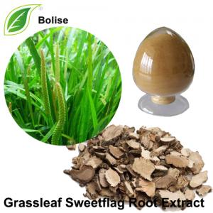 Grassleaf Sweetflag Root Extract(Rhizoma Acori Tatarinowii Extract) Grassleaf Sweetflag Root Extract(Rhizoma Acori Tatarinowii Extract)