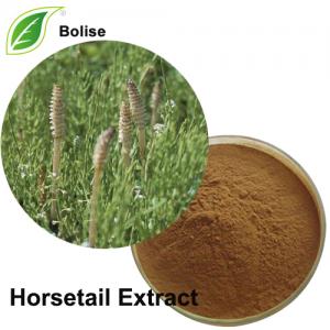 Horsetail Extract Horsetail Extract