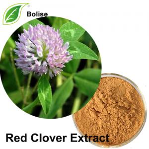 Red Clover Extract Red Clover Extract