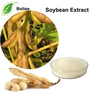 Soybean Extract Soybean Extract