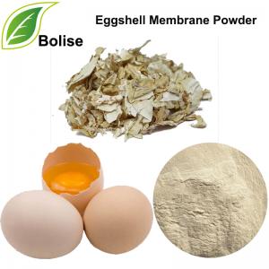 Natural Eggshell Membrane Powder Natural Eggshell Membrane Powder