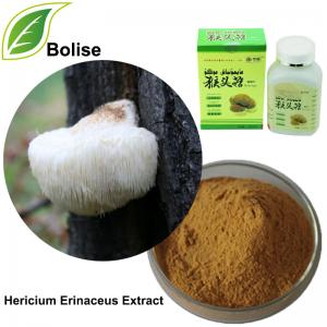 Hericium erinaceus extract(Monkey head mushroom extract) Hericium erinaceus extract(Monkey head mushroom extract)