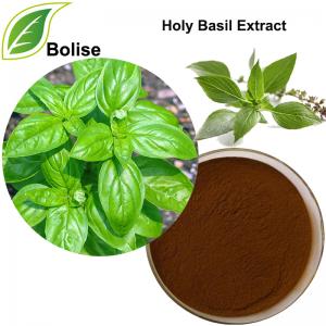 Holy Basil Extract Holy Basil Extract