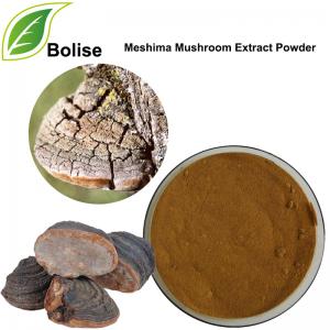Meshima Mushroom Extract Powder Meshima Mushroom Extract Powder