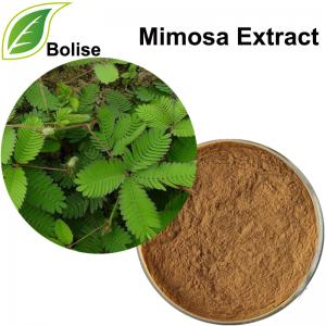 Mimosa Extract Mimosa Extract
