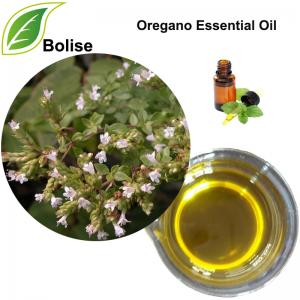 Oregano Essential Oil Oregano Essential Oil