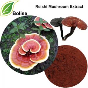 Reishi Mushroom Extract Reishi Mushroom Extract