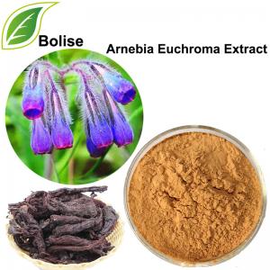 Arnebia Euchroma Extract Arnebia Euchroma Extract
