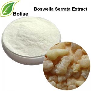 Boswelia Serrata Extract Boswelia Serrata Extract