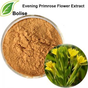 Evening Primrose Flower Extract Evening Primrose Flower Extract