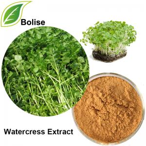 Watercress Extract Watercress Extract