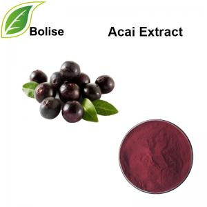 Acai Extract(Brazilian berry extract) Acai Extract(Brazilian berry extract)