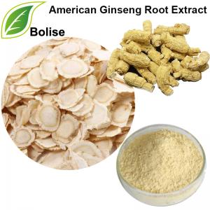 American Ginseng Root Extract American Ginseng Root Extract