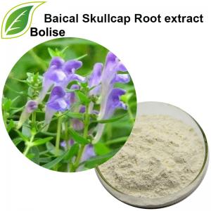 Baical Skullcap Root extract(Scutellaria Baicalensis Extract) Baical Skullcap Root extract(Scutellaria Baicalensis Extract)