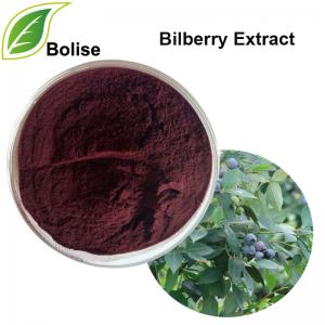 Bilberry Extract(Blueberry Extract) Bilberry Extract(Blueberry Extract)