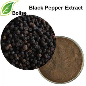 Piperine(Black Pepper Extract) Piperine(Black Pepper Extract)