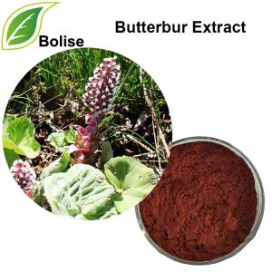 Butterbur Extract Butterbur Extract