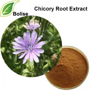 Chicory Root Extract Chicory Root Extract