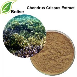 Chondrus Crispus Extract(Chondrus Extract) Chondrus Crispus Extract(Chondrus Extract)