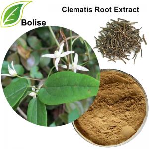 Chinese Clematis Root Extract(Radix Clematidis Extract) Chinese Clematis Root Extract(Radix Clematidis Extract)