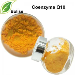 Coenzyme Q10 Coenzyme Q10