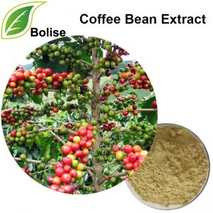 Coffee Bean Extract Coffee Bean Extract
