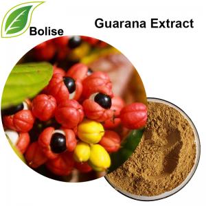 Guarana Extract(Guarana Seed Extract) Guarana Extract(Guarana Seed Extract)