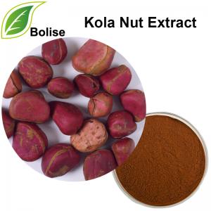 Kola Nut Extract Kola Nut Extract