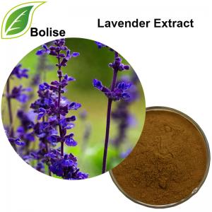 Lavender Extract Lavender Extract