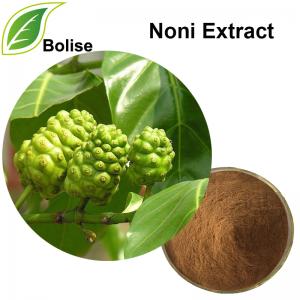 Noni Extract(Great Morinda Extract) Noni Extract(Great Morinda Extract)