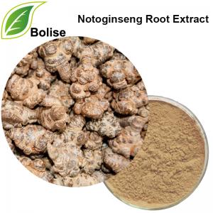 Notoginseng Root Extract Notoginseng Root Extract