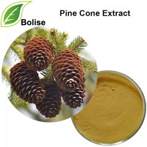Pine Cone Extract Pine Cone Extract