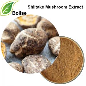 Shiitake Mushroom Extract Shiitake Mushroom Extract