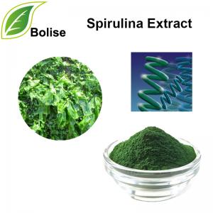 Spirulina Extract Spirulina Extract