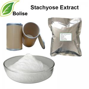 Stachyose Extract Stachyose Extract