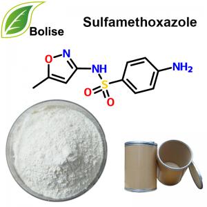 Sulfamethoxazole Sulfamethoxazole