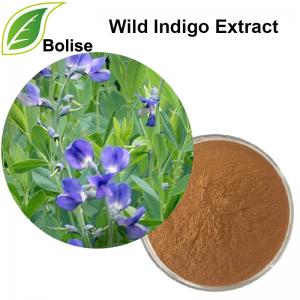 Wild Indigo Extract Wild Indigo Extract