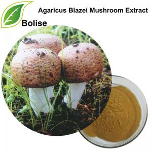 Agaricus Blazei Mushroom Extract Agaricus Blazei Mushroom Extract