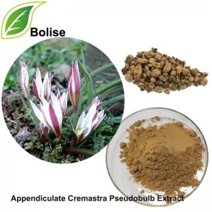 Appendiculate Cremastra Pseudobulb Extract Appendiculate Cremastra Pseudobulb Extract