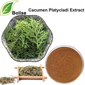 Cacumen Platycladi Extract(Chinese Arborvitae Twig Extract) Cacumen Platycladi Extract(Chinese Arborvitae Twig Extract)