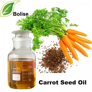 Carrot Seed Oil Carrot Seed Oil