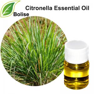 Citronella Essential Oil Citronella Essential Oil